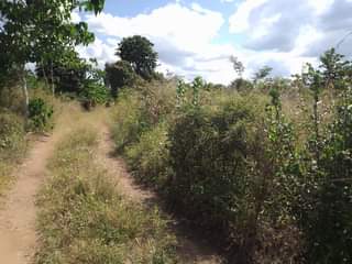 A picture of SHAMBA HEKA 6 NAUZA KILA HEKA TSH 280 000 HATA