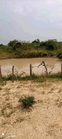 A picture of QUICK SALE 165arces AT 6M PER ARCE IN LUWEERO with