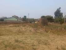 stands