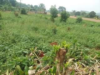 A picture of 100 by 100 ft that touches the tarmac road of