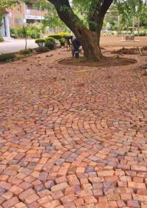 bricks