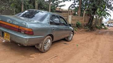 A picture of 100 COLONA