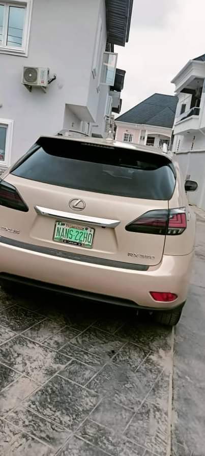 A picture of Rx350 2010 updated 2016