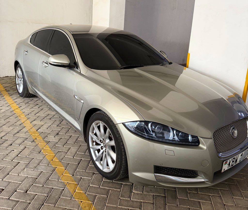 jaguar
