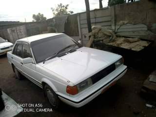 used nissan sunny