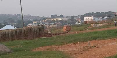 A picture of A plot of land