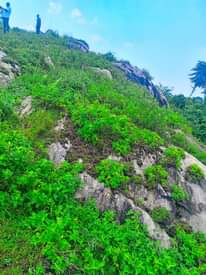 A picture of 17 acres of land for sale