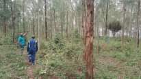 A picture of 50 Acres Nakaseke Butalangu at 10m per acre Full of