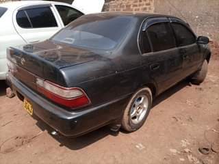 A picture of Corolla Kikumi For Sale 0754863448 