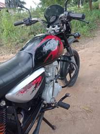 A picture of Boxer x125