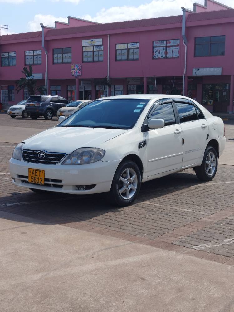 toyota corolla bubble