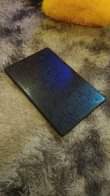 A picture of Acer