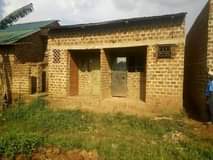 Onyango J.