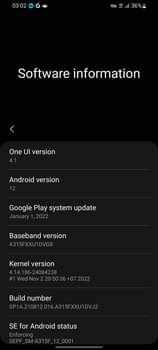 A picture of SAMSUNG A31