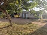 A picture of Eneo linauzwa Malimbe mwanza