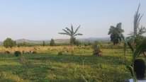 A picture of Kakiri Gobero Estate