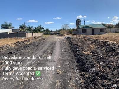 stands