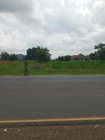 A picture of KIWANJA KIPO NJIANI morogoro road CHAMWINO BUIGIRI CHAMWINO IKULU