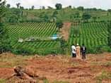 A picture of Get a plot of land at only 2 m shs