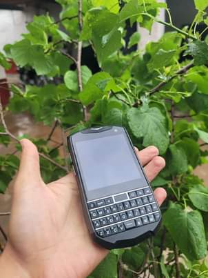 BlackBerry M.
