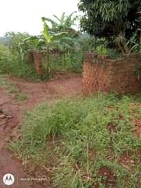 A picture of Kassanje