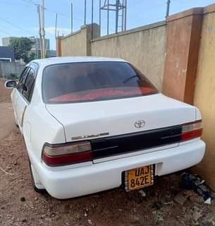A picture of Clean Toyota Kikumi