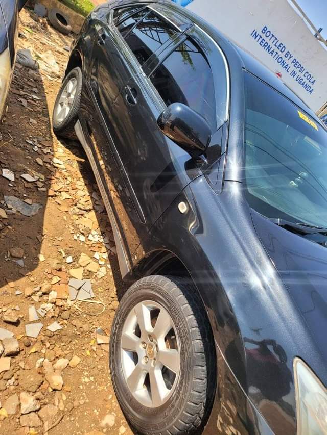 A picture of Harrier kawundo