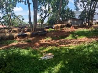 A picture of  Lucrative One acre for sale located in namugongo near
