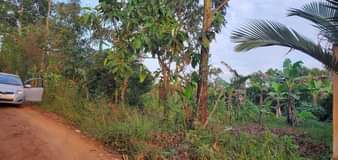 A picture of 100x100 with a ready title in Mukono festino suitable for