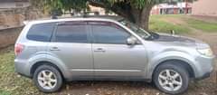 A picture of Forester