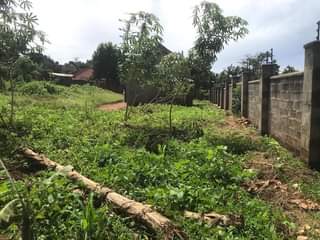 A picture of Quick Sale Kigo Plot