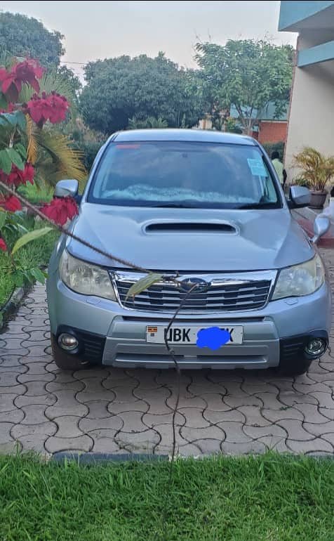 A picture of 2008 Subaru forester