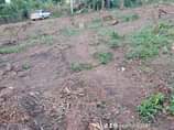 A picture of NEW SITE IN NEW CITY MUBAGAGA PLOTS FROM 2Million 40by20ft