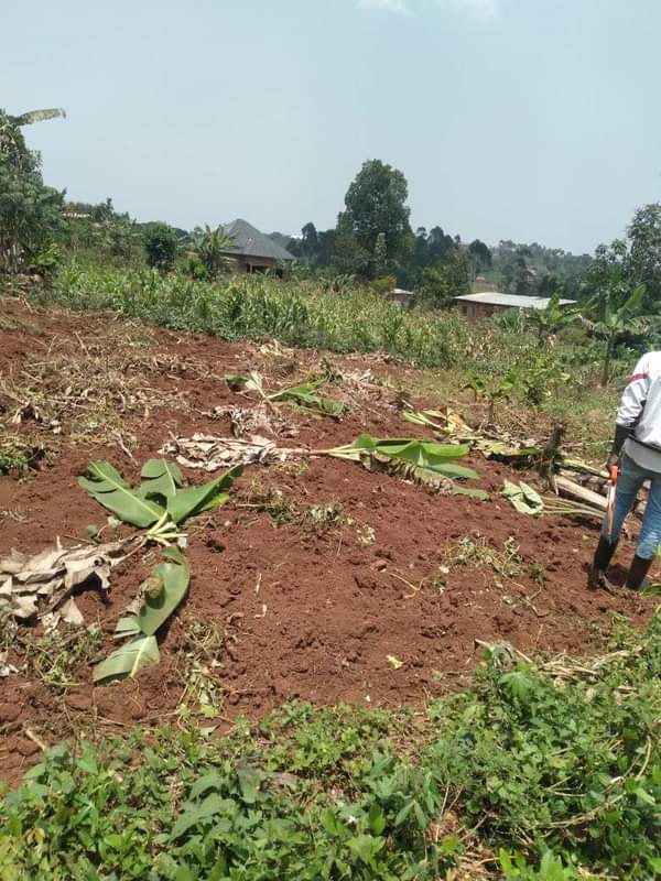 A picture of ANTI MR PROPERTY MANAGEMENT PLOT FOR SALE LOCATED AT NAKAWUKA