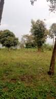 A picture of 1 acre with lake view in prime area for sale