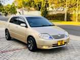 A picture of Sharcx france motors