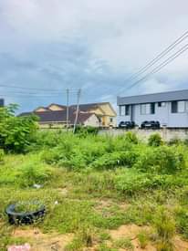 A picture of ENEO KUBWA LINAUZWA