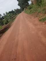 A picture of 1 fertile acre on sale at 7 8m with electricity