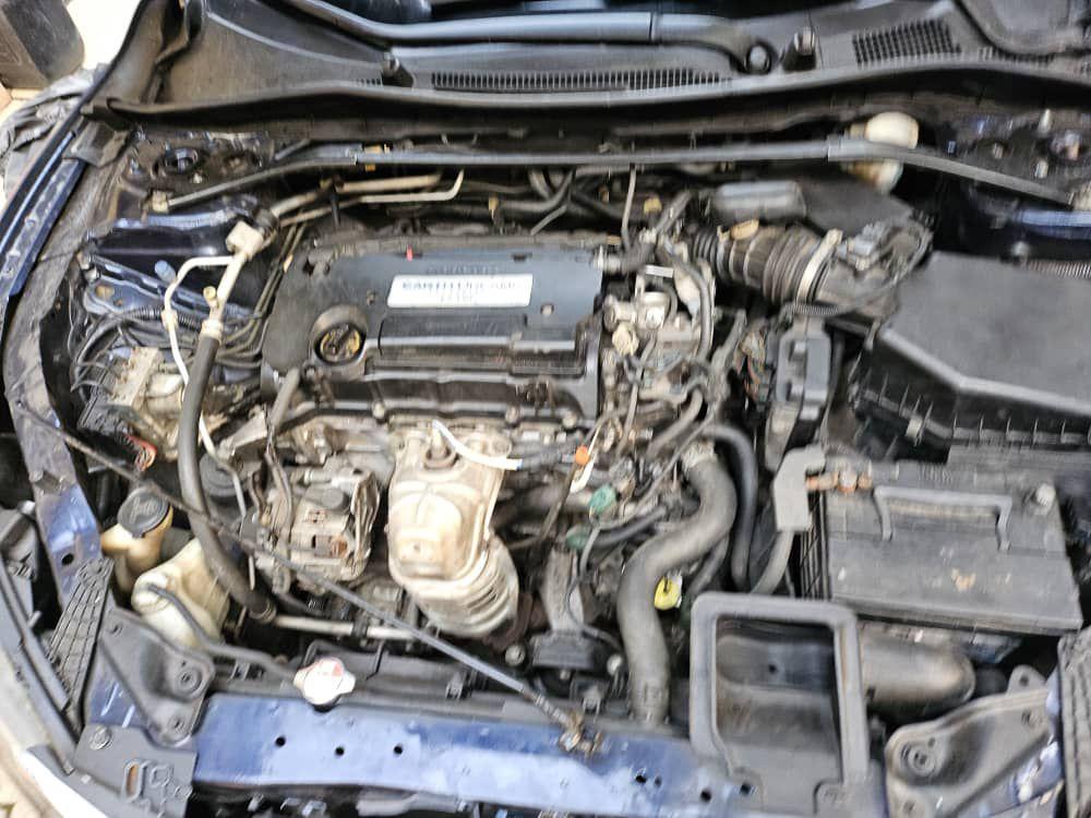 A picture of 2013 Honda accord