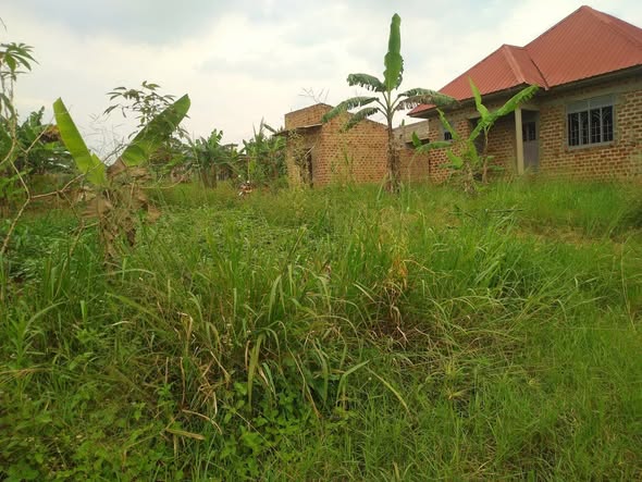 A picture of PLOTS FOR SALE