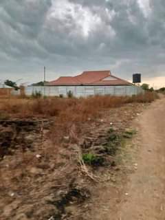 stands