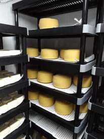 A picture of Mozzarella cheese
