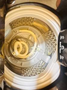 A picture of Quick Sale Fairly used 8kgs top loader washing machine Perfect