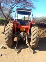 A picture of Massey kitonga