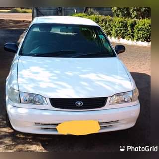 used toyota corolla