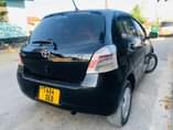 A picture of Vitz