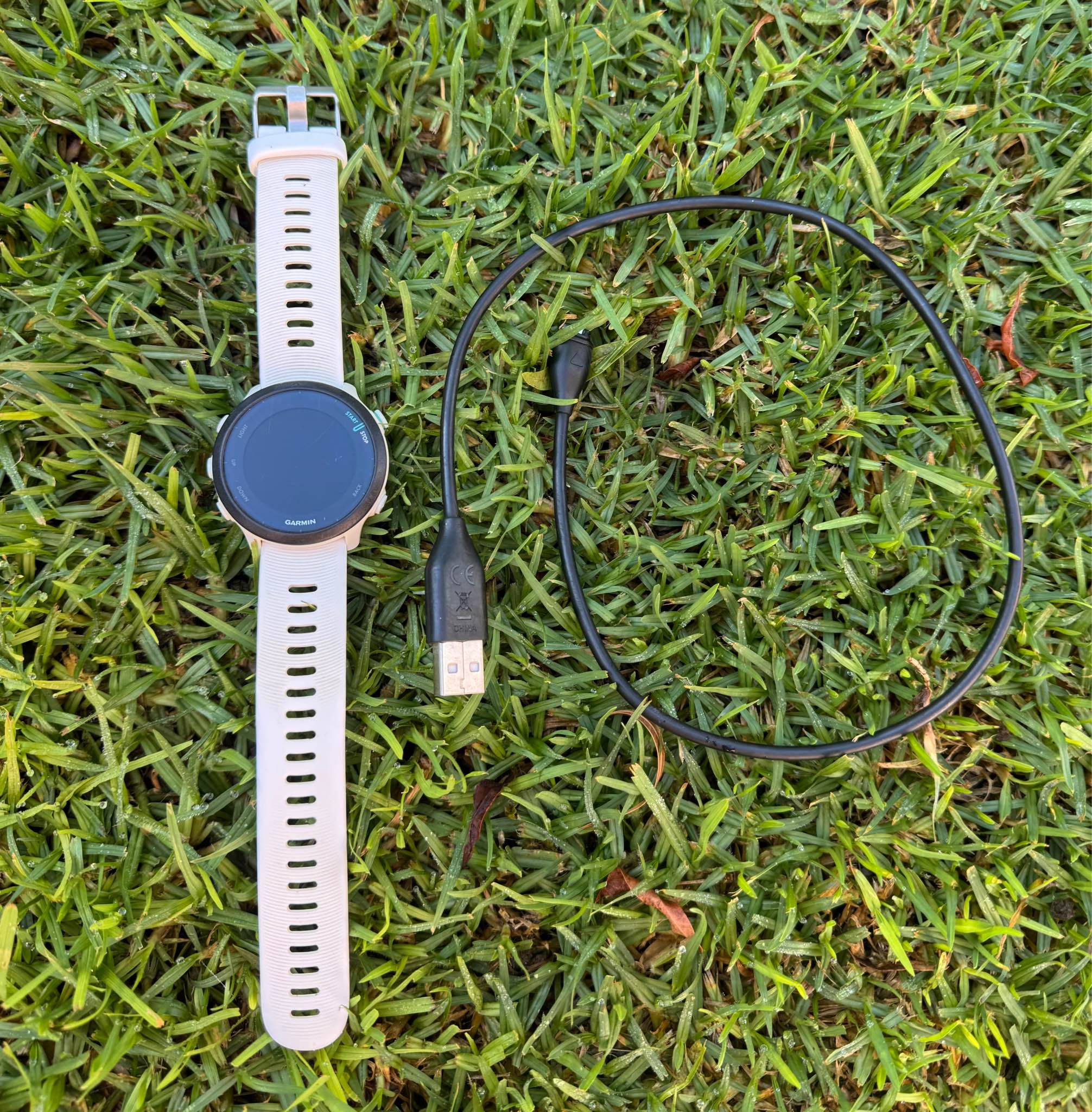 garmin