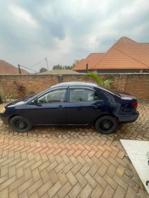 used toyota corolla