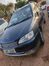 Dnk M.