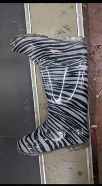 A picture of Gumboots